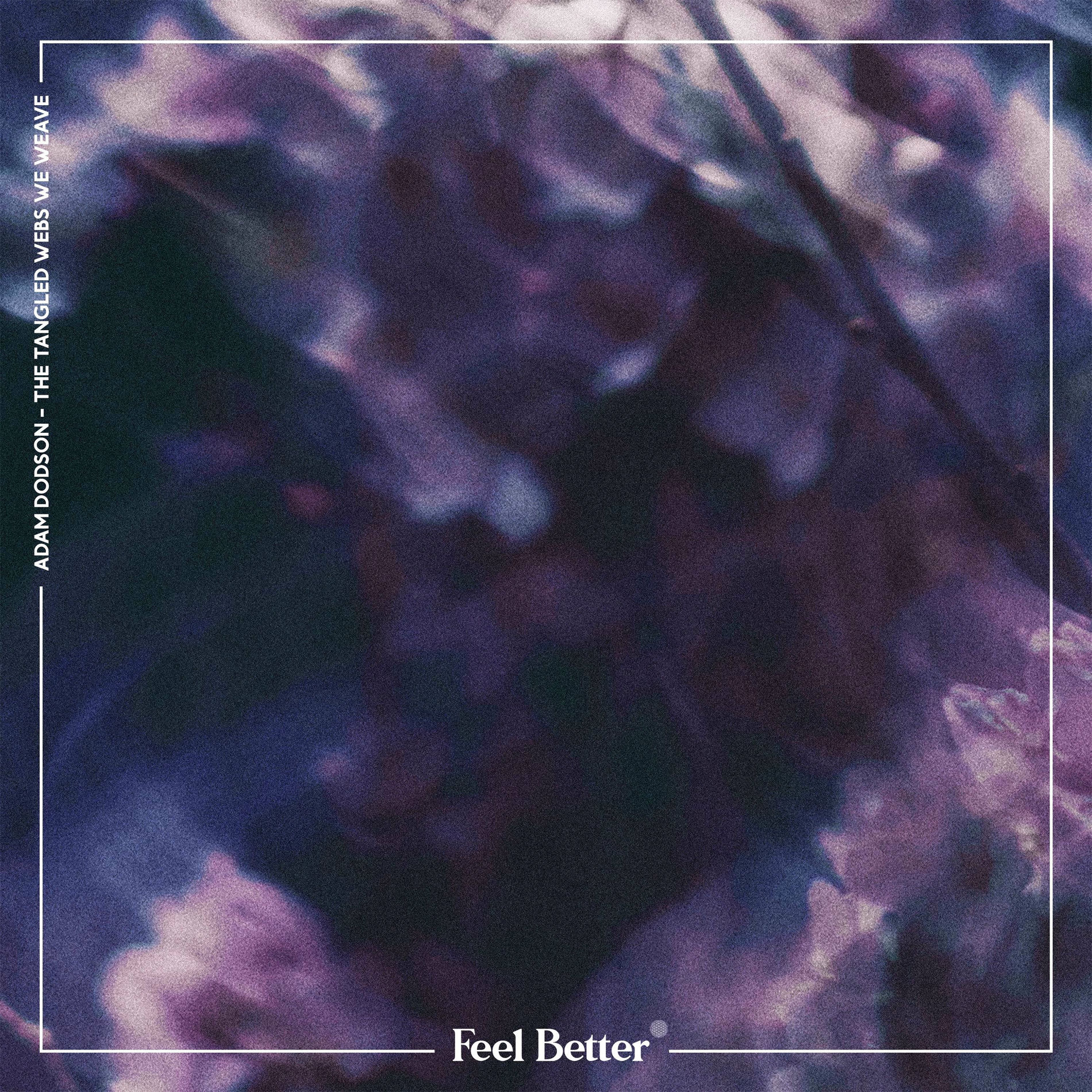 Album cover of The Tangled Webs We Weave