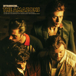 Cover of Introducing… The Amazons