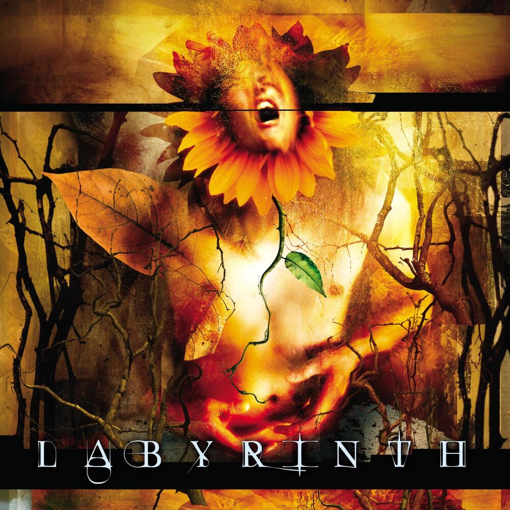 Picture of Labyrinth