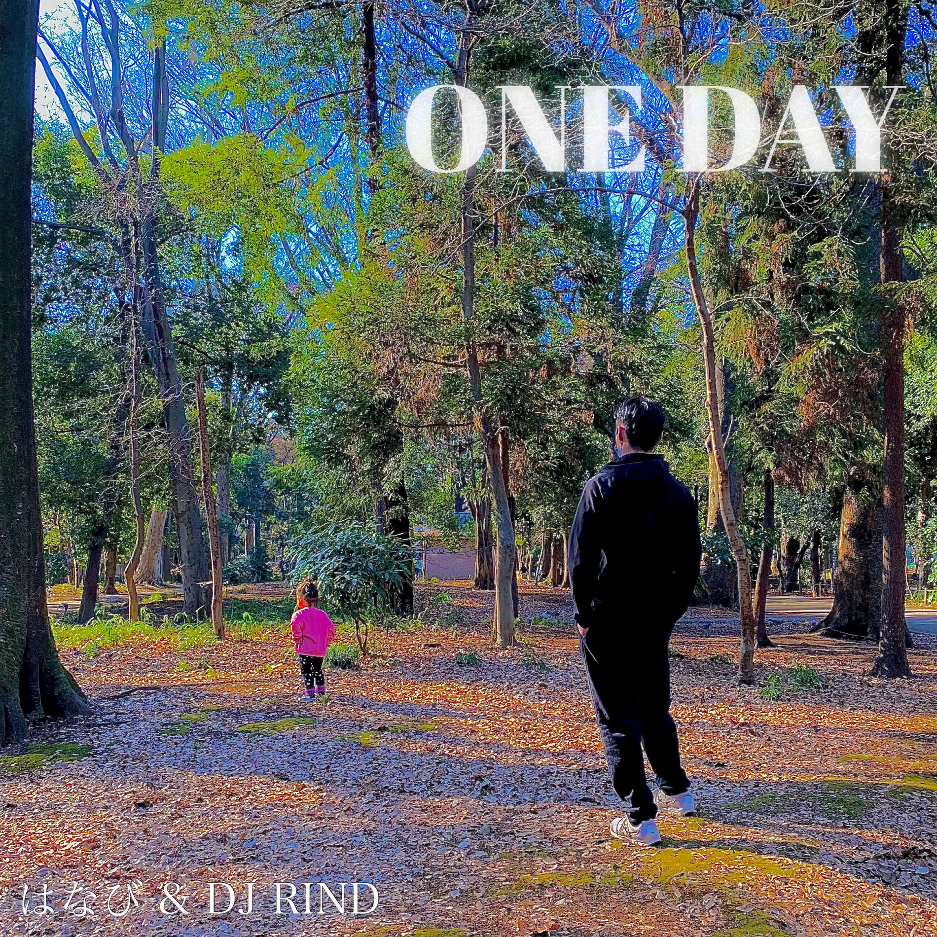 Album cover of ONE DAY
