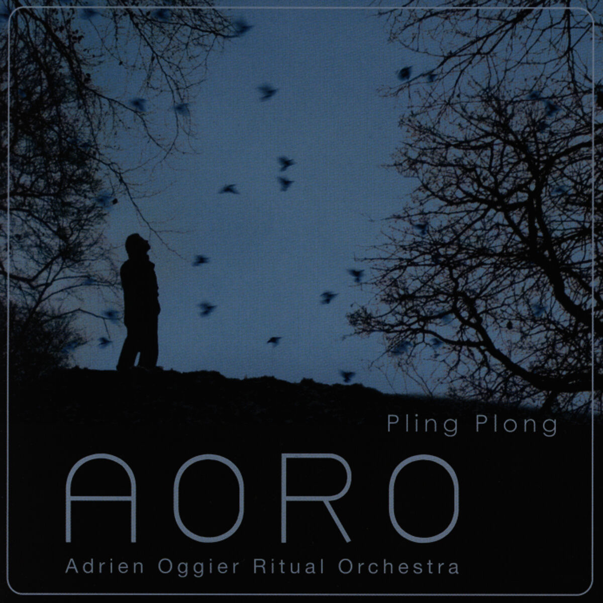 Pling Plong cover