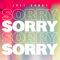 Sorry by Joel Corry album cover