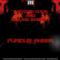 Cover of Furious Anger