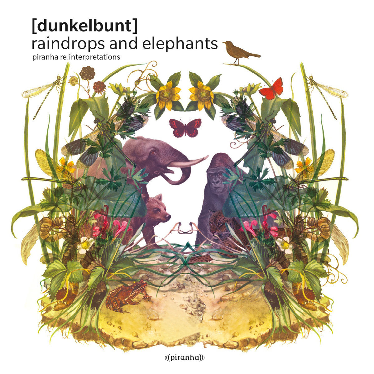 Album cover of Raindrops And Elephants Piranha Re:Interpretations