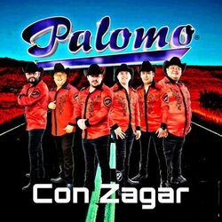 Cover of Con Zagar