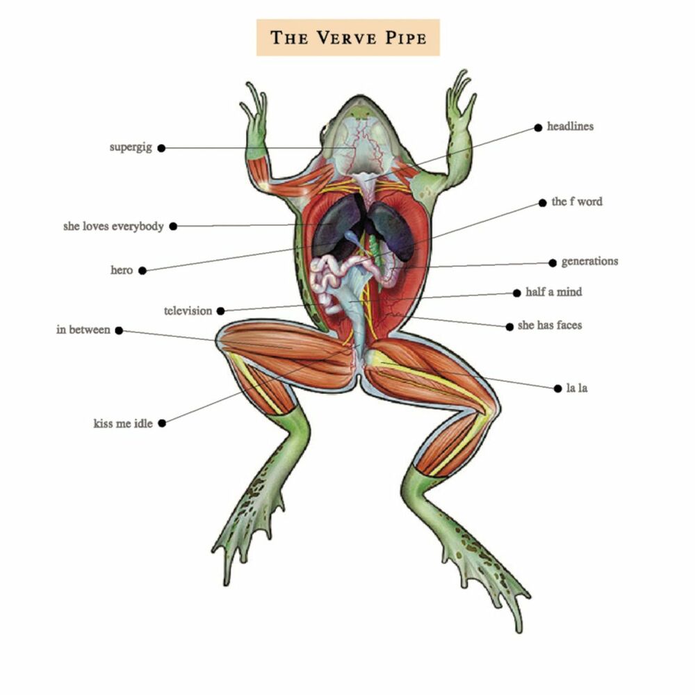 Picture of The Verve Pipe