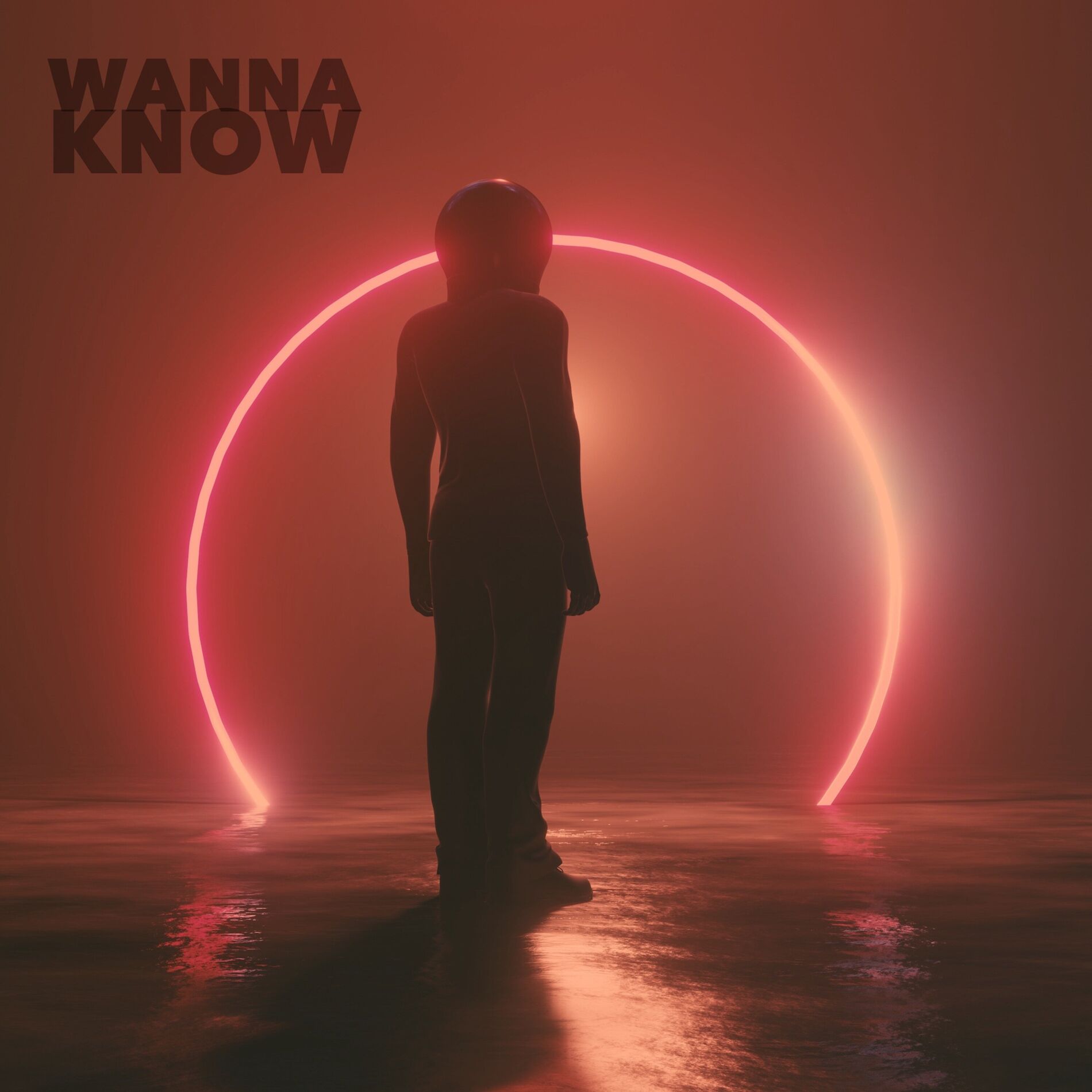 Album cover of Wanna Know