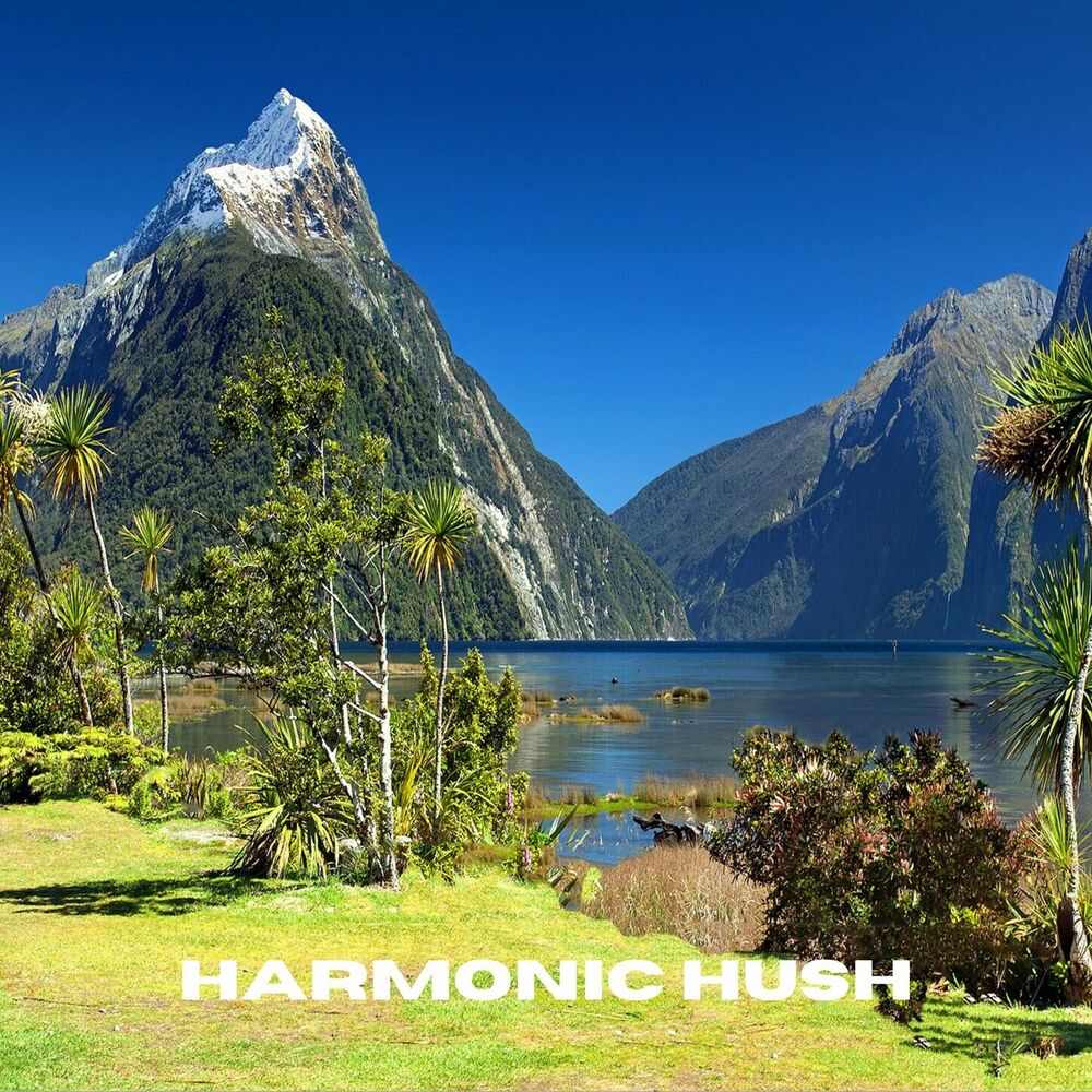 Picture of Harmonic Hush
