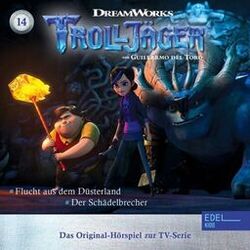 music cover