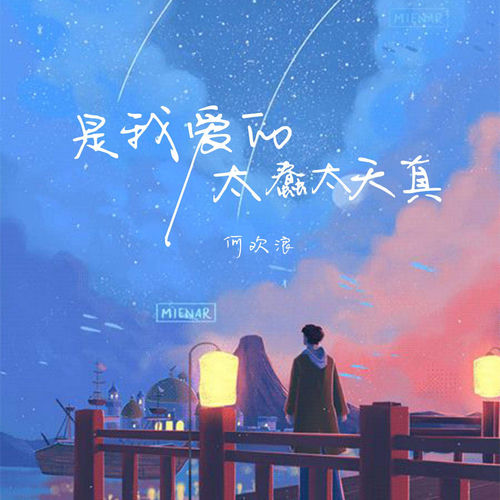 是我爱的太蠢太天真