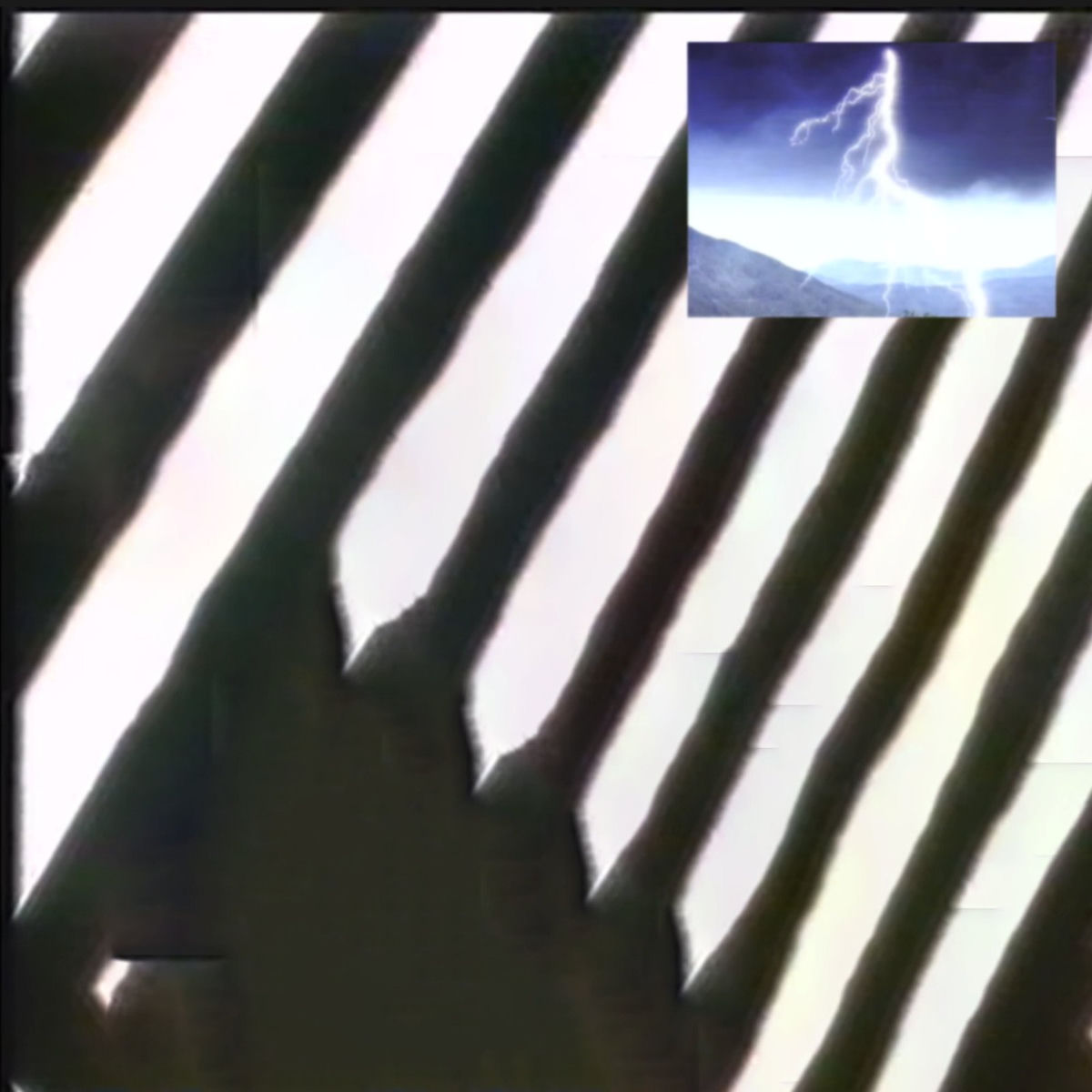 Album cover of 1000 Eyes