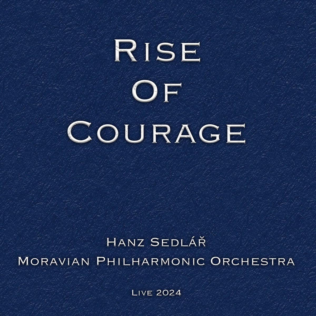 Album cover of Rise of Courage (Live 2024)