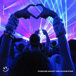 Cover of THIS IS WHAT YOU CAME FOR (TECHNO)