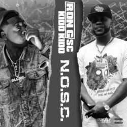Cover of N.O.S.C.