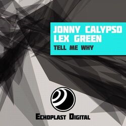 Cover of Tell Me Why
