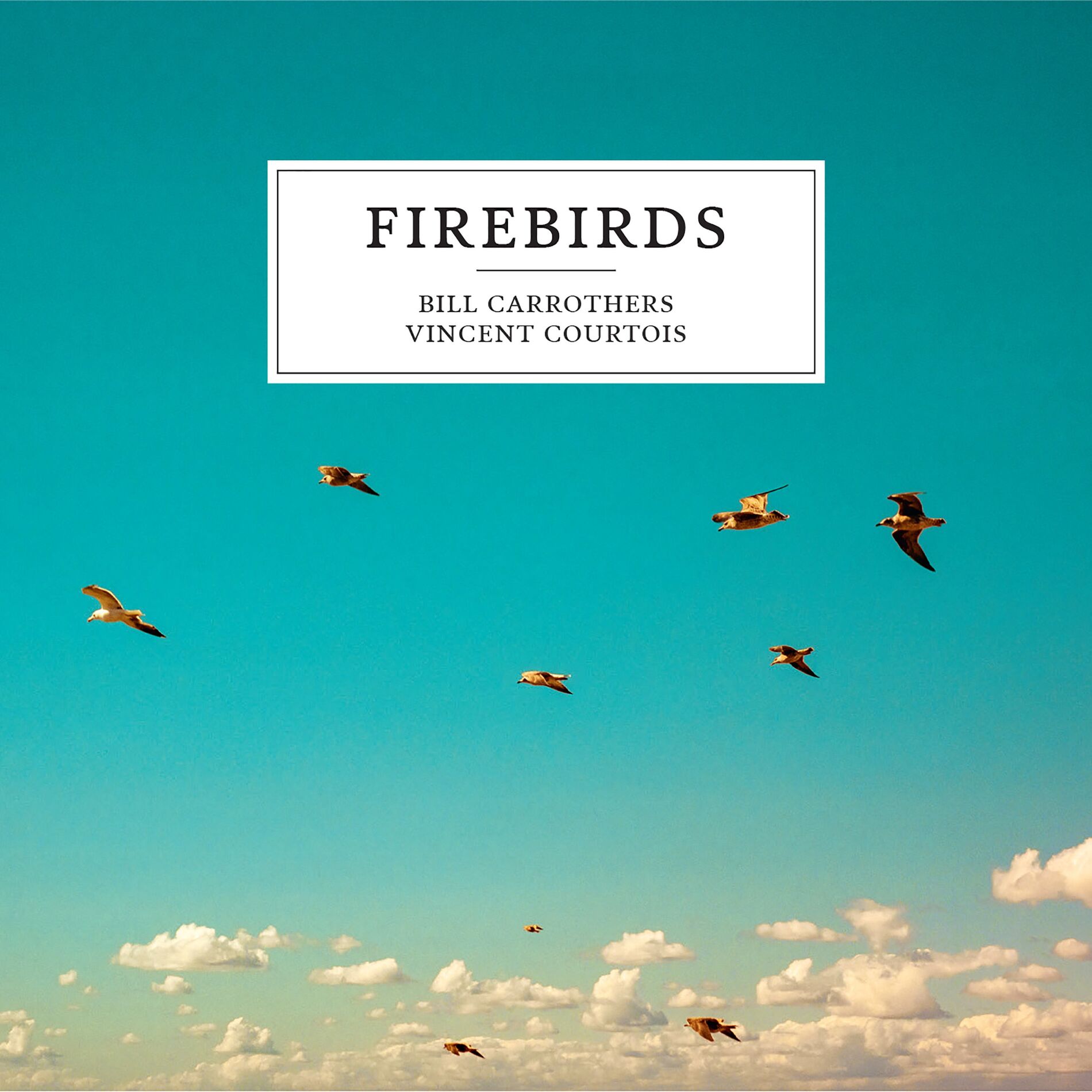 Album cover of The Icebird