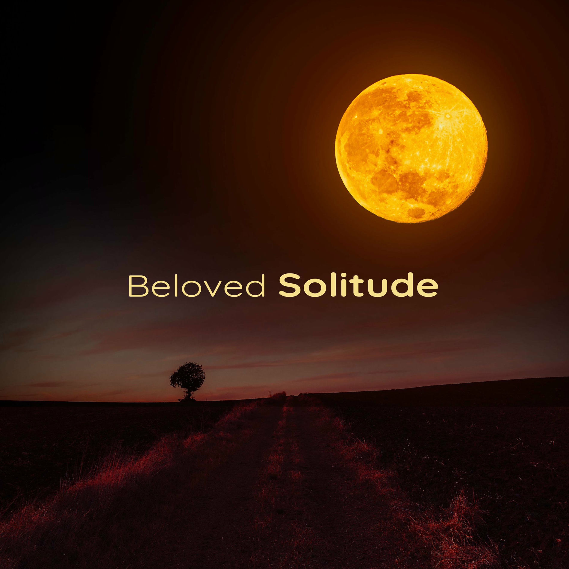 Album cover of Beloved Solitude