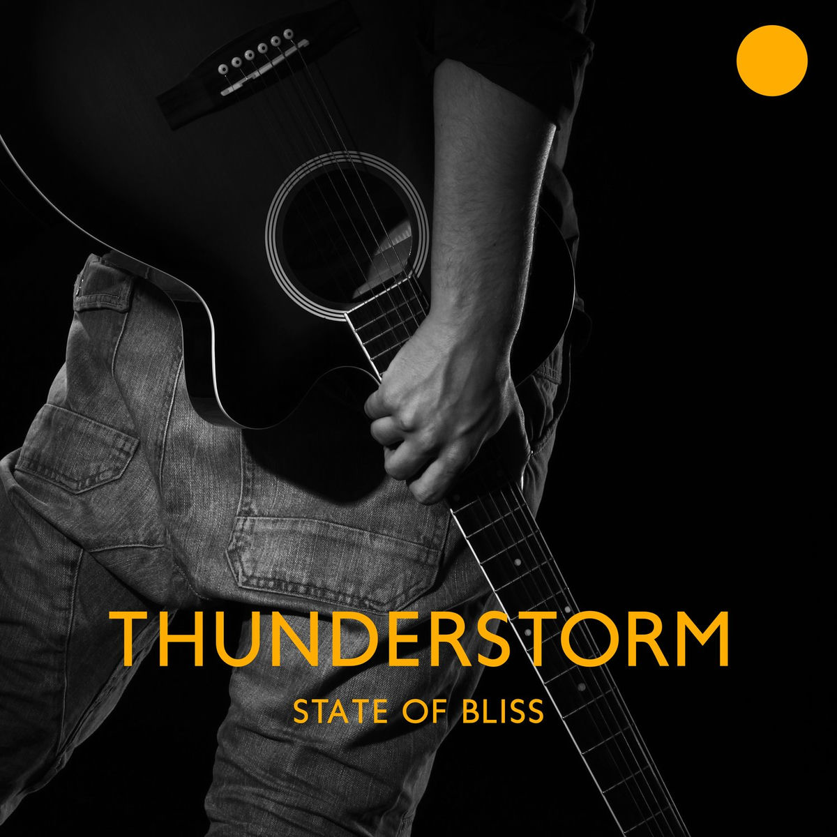 Album cover of Distant Storm