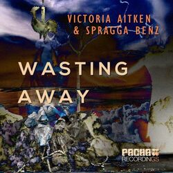 Cover of Wasting Away