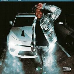 Cover of Overstand
