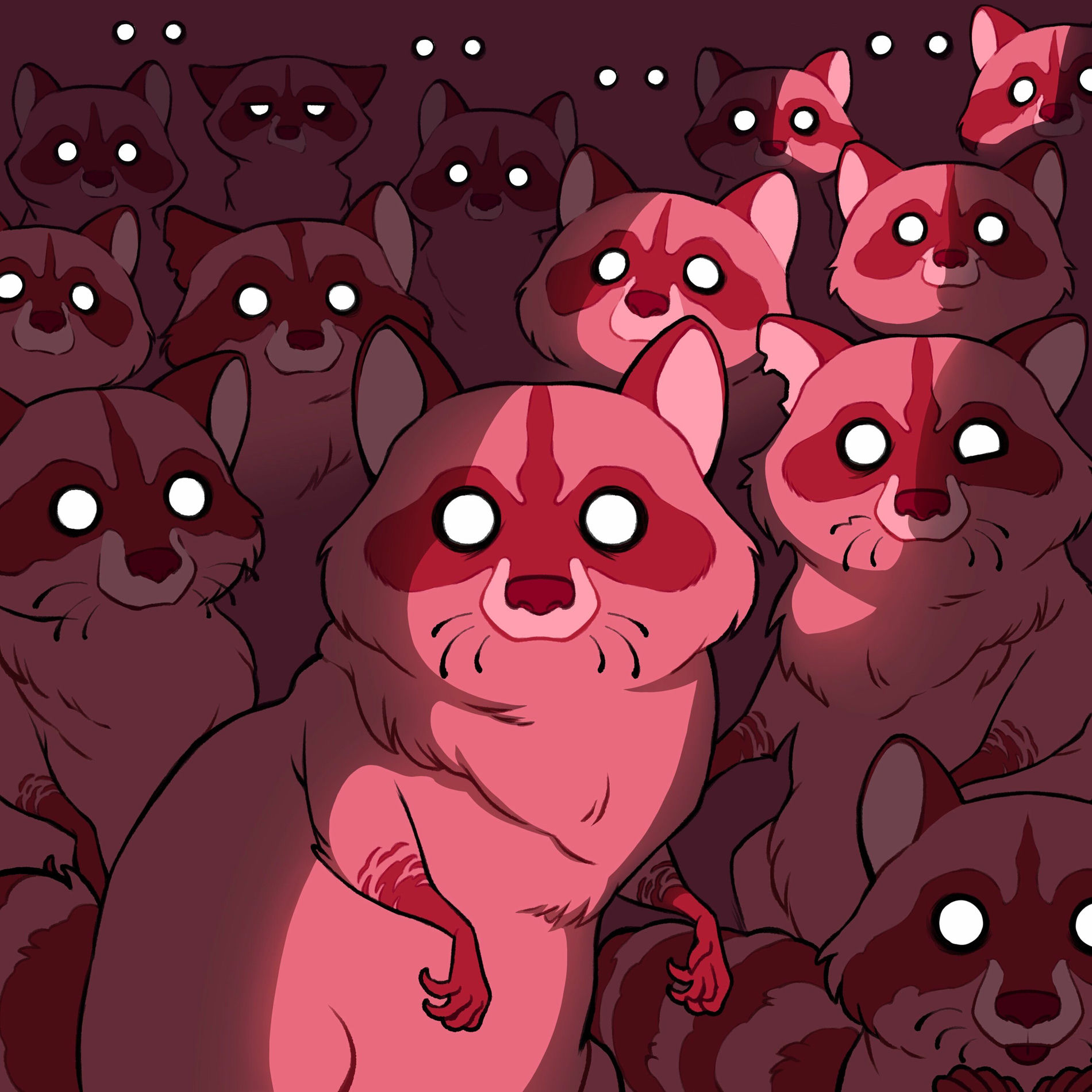 Album cover of Raccoon