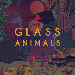 Cover of Pools
