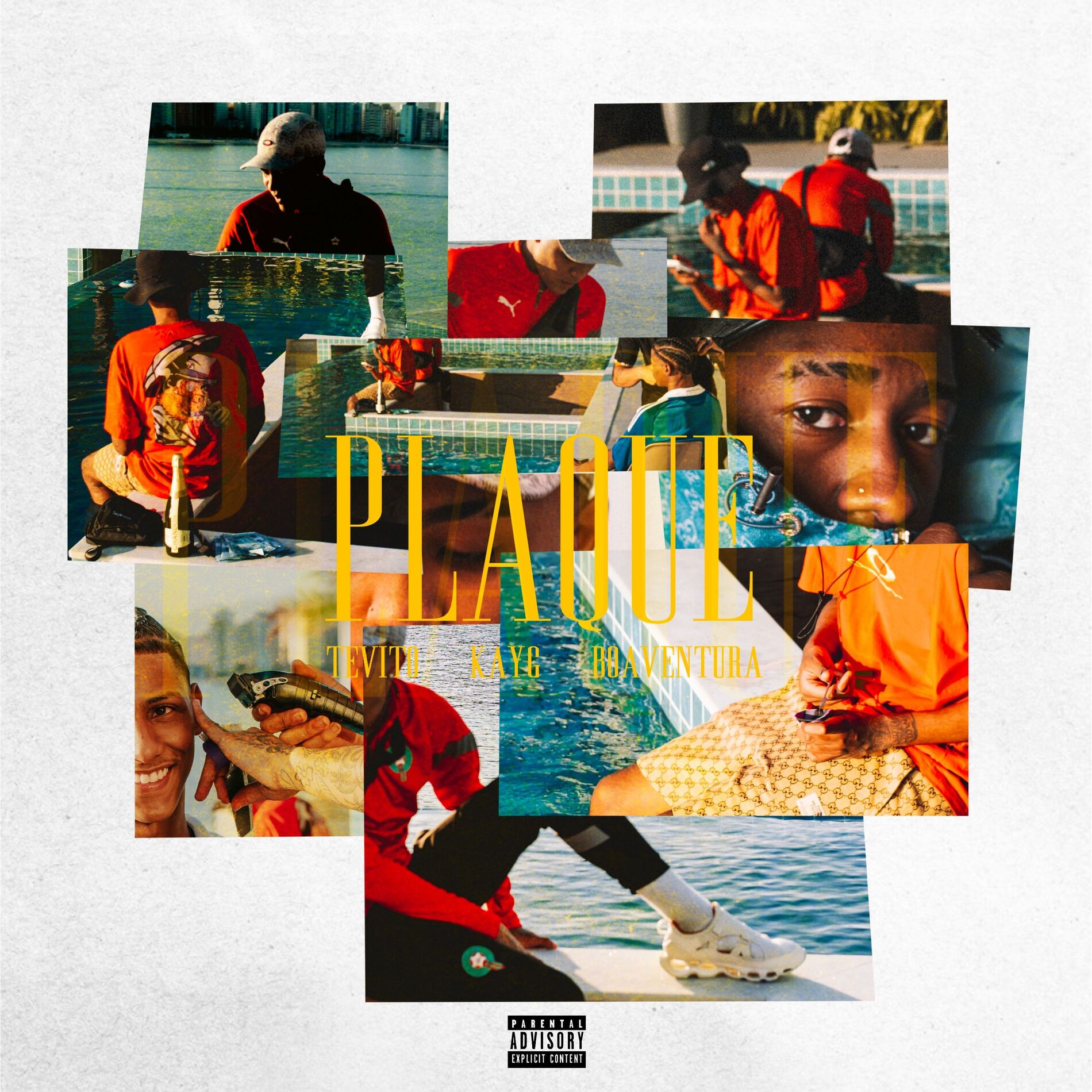 Album cover of PLAQUE