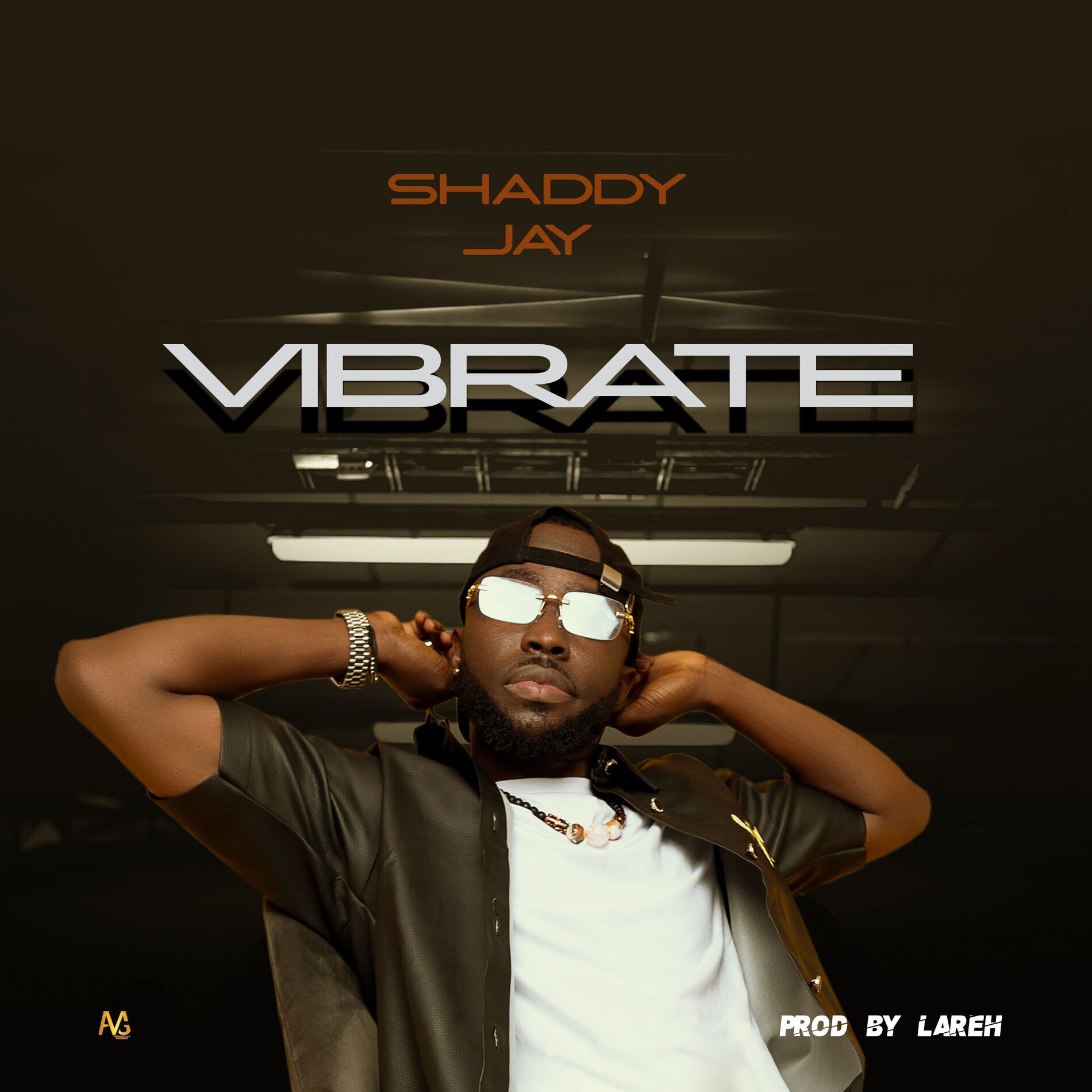Album cover of Vibrate