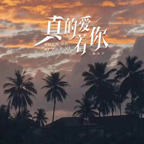 真的爱着你 (DJ默涵版)