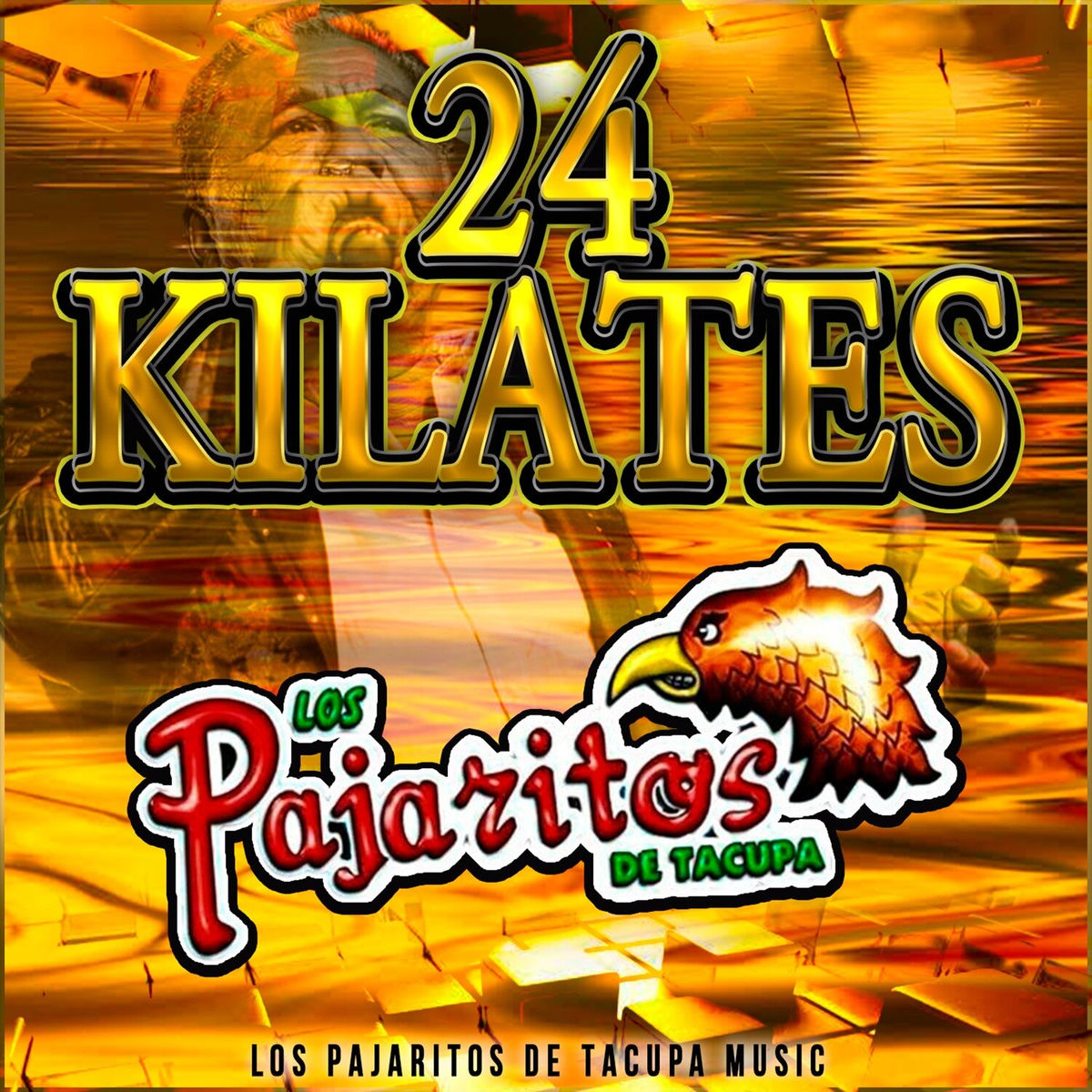 Album cover of 24 Kilates
