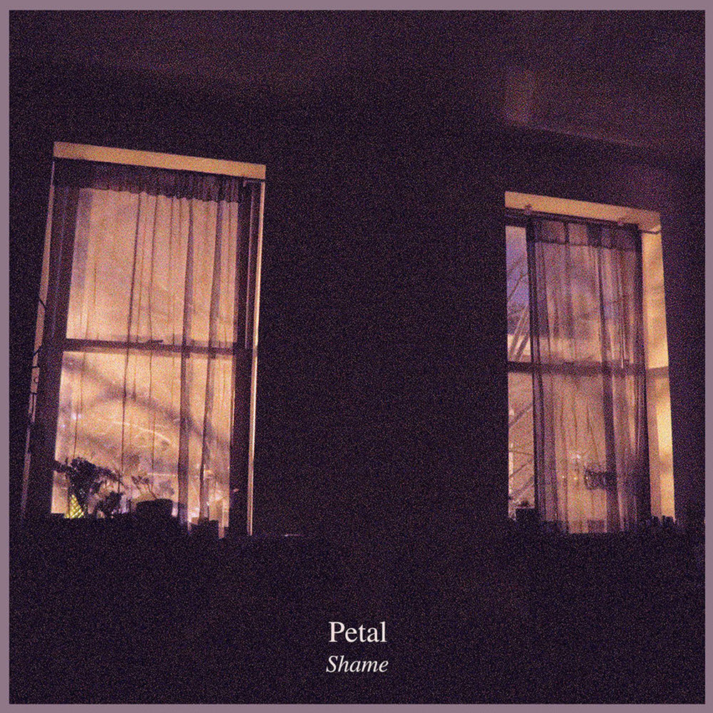Album artwork for Feel by Petal