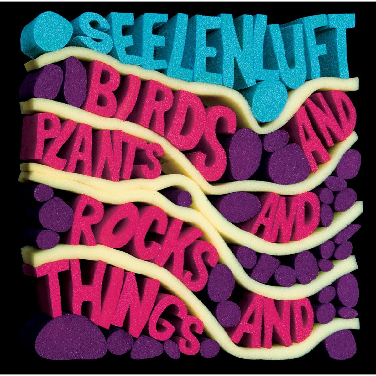 Album cover of Birds and Plants and Rocks and Things