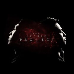 Cover of The Hybrid Project