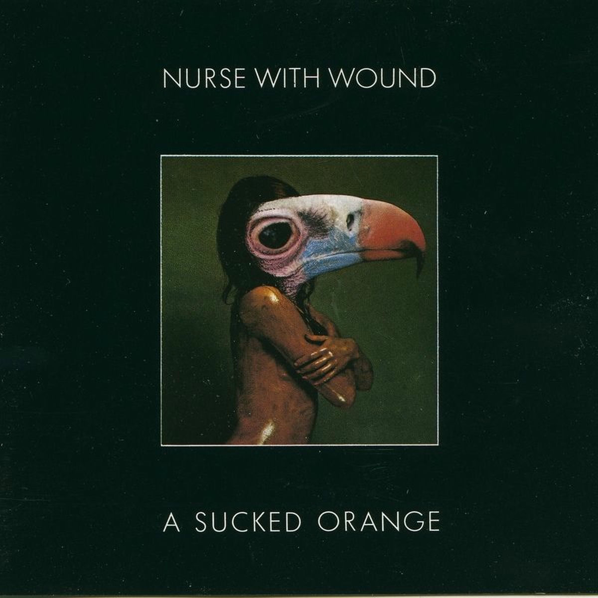 洋楽 A Sucked Orange Nurse With Wound Nurse With Wound – A Sucked Orange – CD (Album), 1989