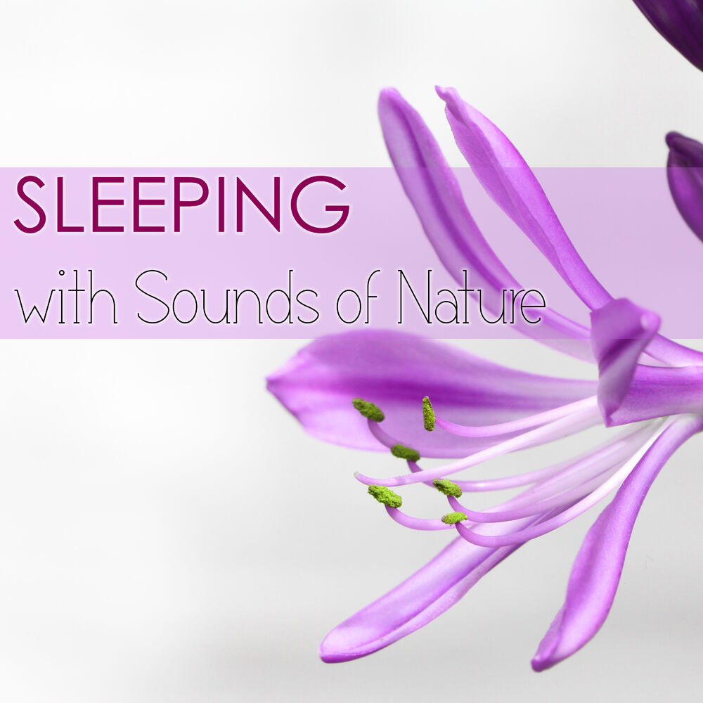 Picture of Sleeping with Sounds of Nature - Utimate Relaxation Music Collection, Calming Sound