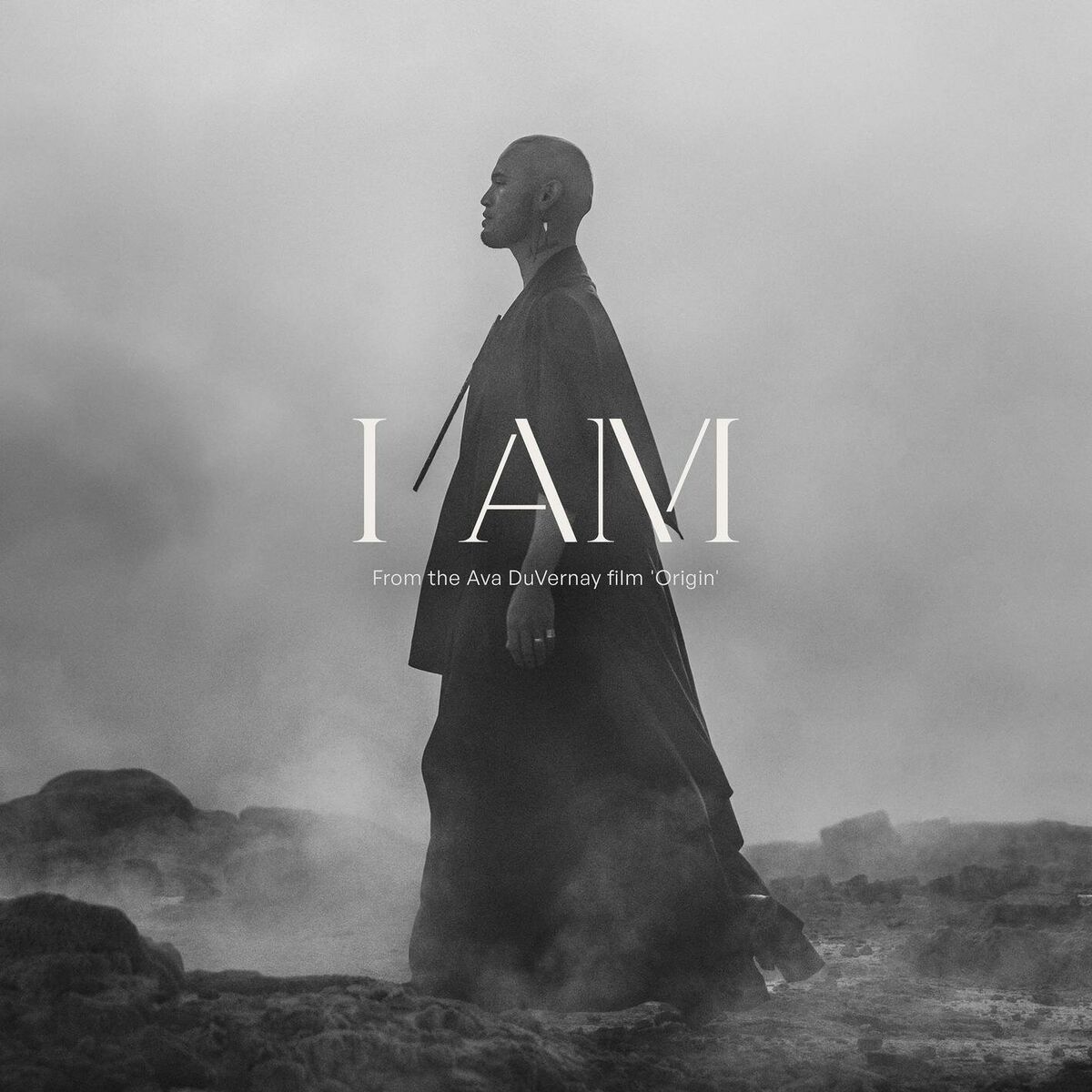 Album cover of I AM