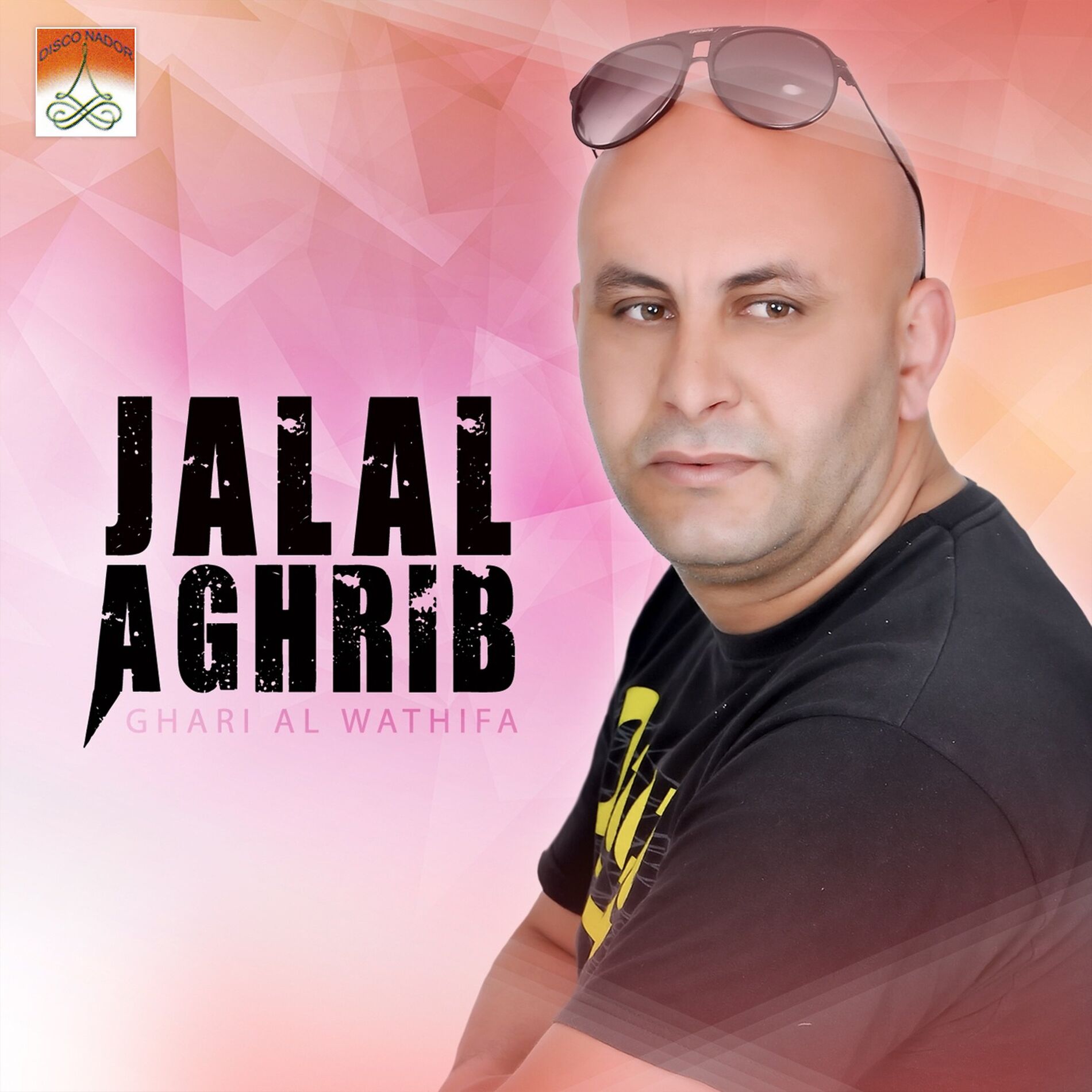 Album cover of Ghari Al Wathifa