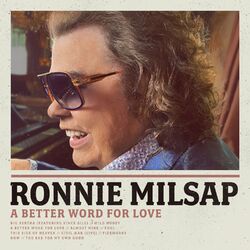 Cover of A Better Word for Love