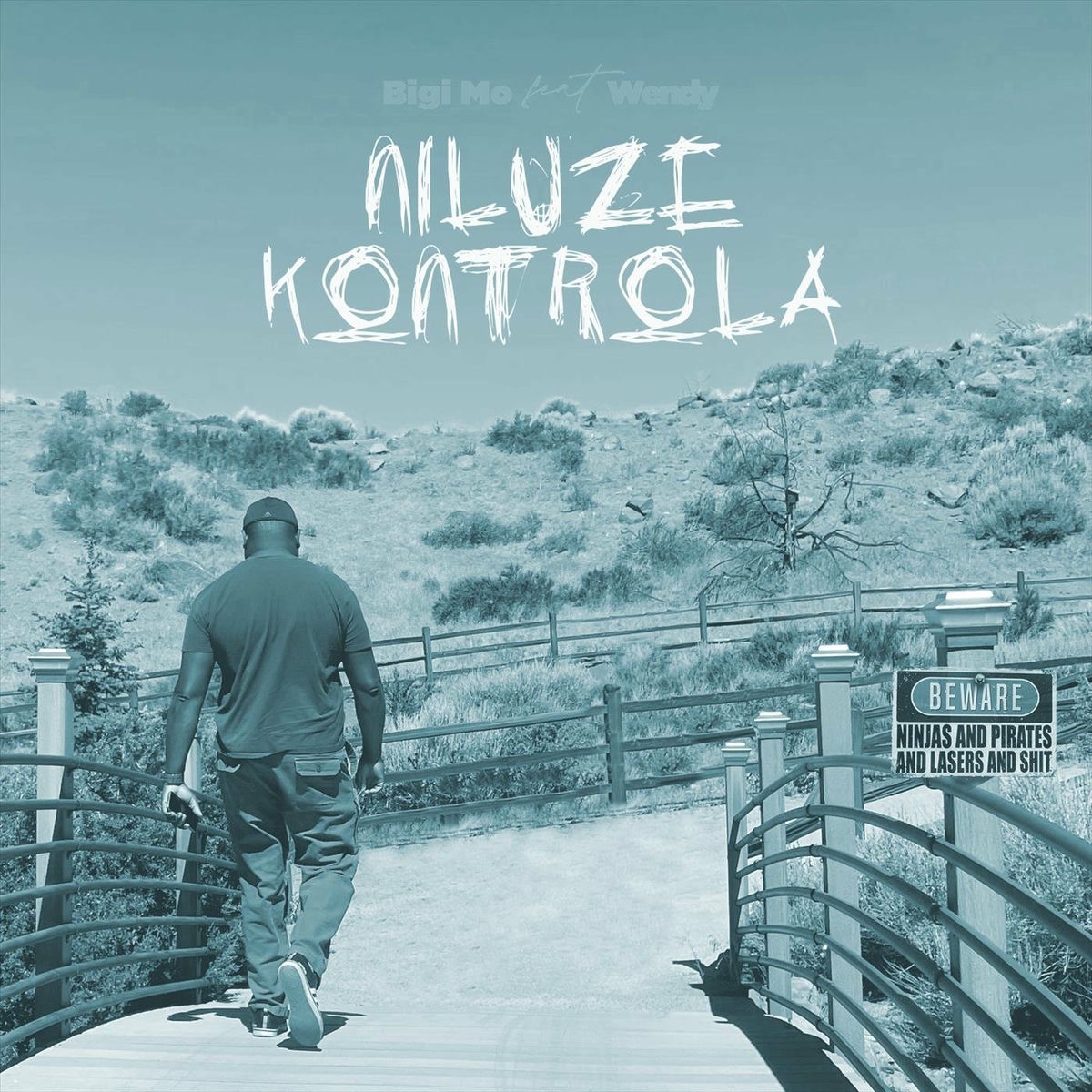 Album cover of Niluze Kontrola