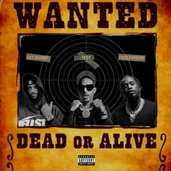 Cover of Dead or Alive