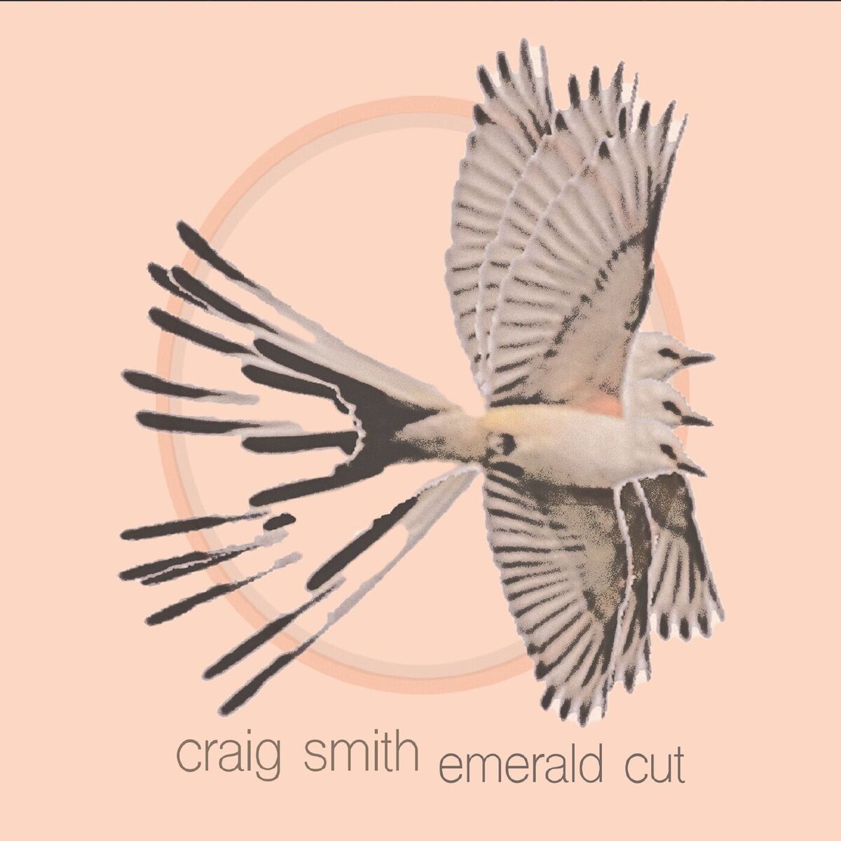 Album cover of Emerald Cut