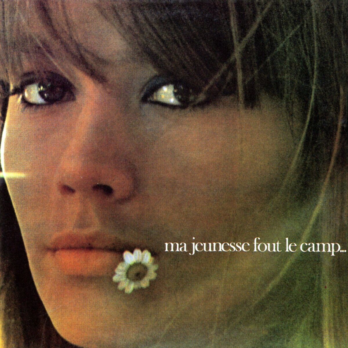 Album cover of Voilà