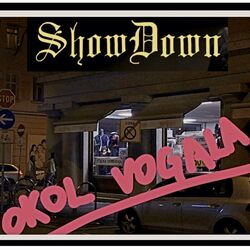 Cover of Okol Vogala
