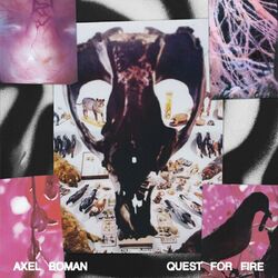 Cover of Quest for fire