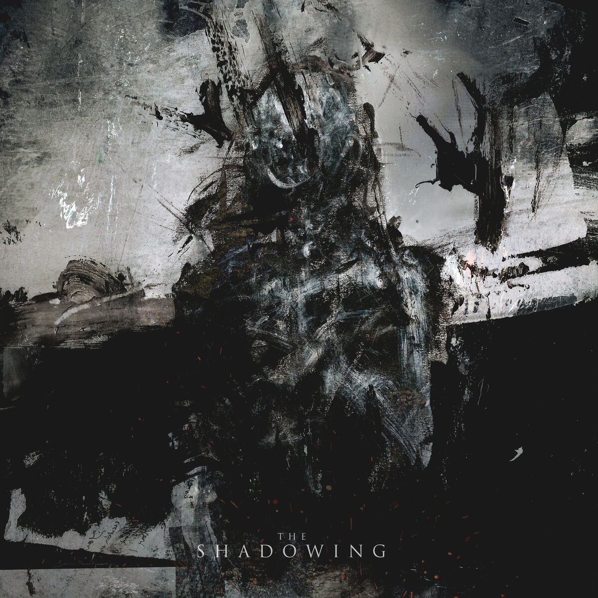 Album cover of The Shadowing