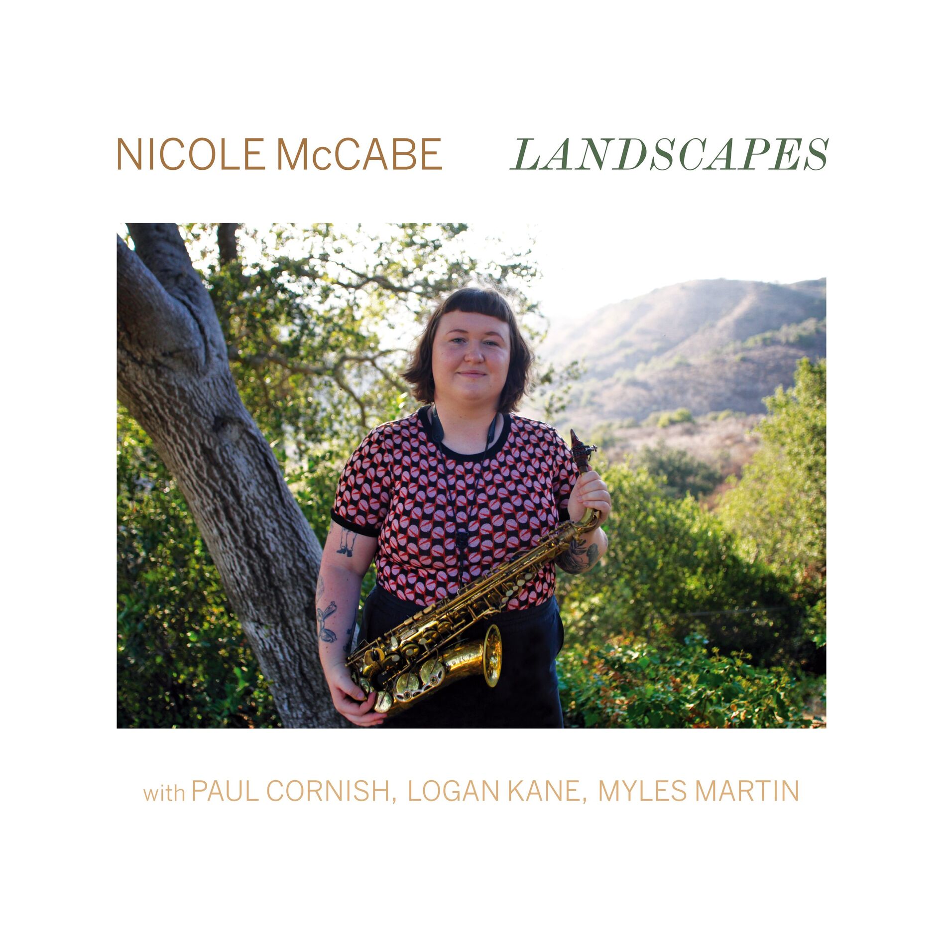 Album cover of Landscapes