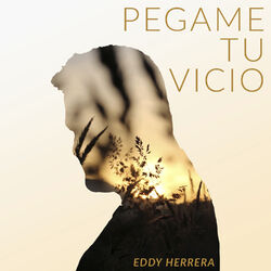 music cover