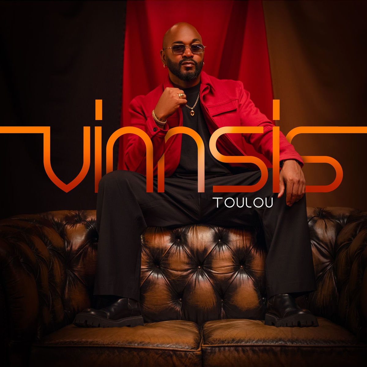 Album cover of VINNSIS