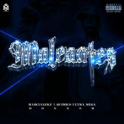 Cover of Maleantes