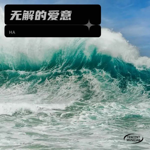 无解的爱意 cover